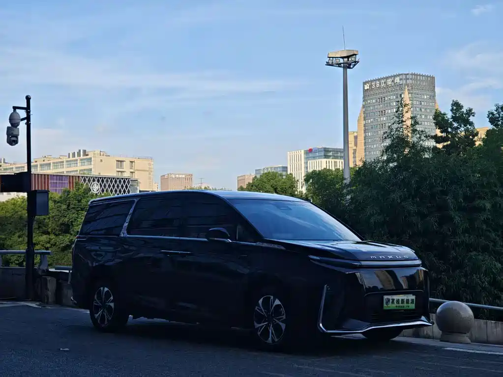 Maxus Dajia 9 — миниатюра 10