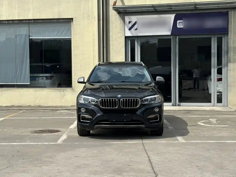 BMW X6 — миниатюра 7