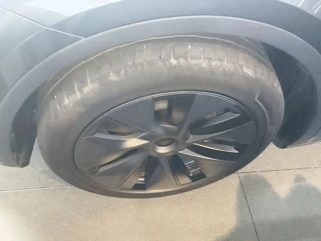 Tesla Model Y — миниатюра 23
