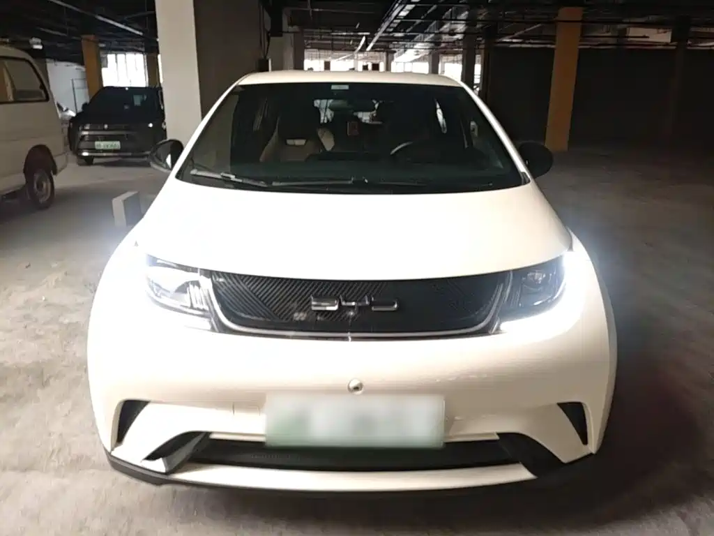 BYD Dolphin — миниатюра 3