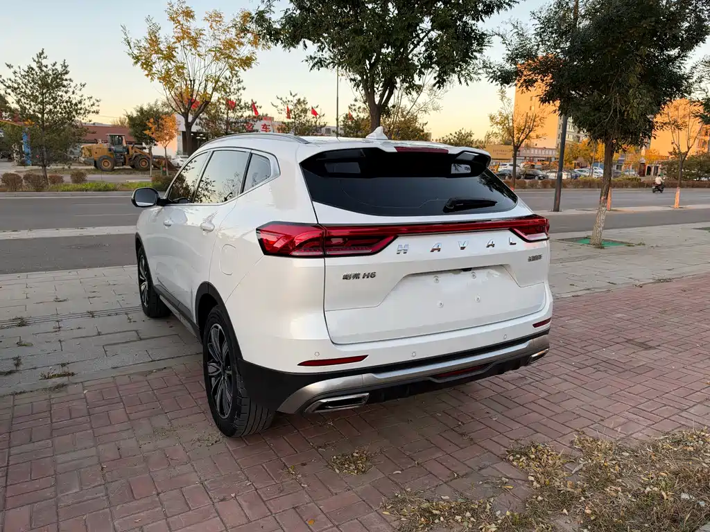 Haval H6 — миниатюра 8