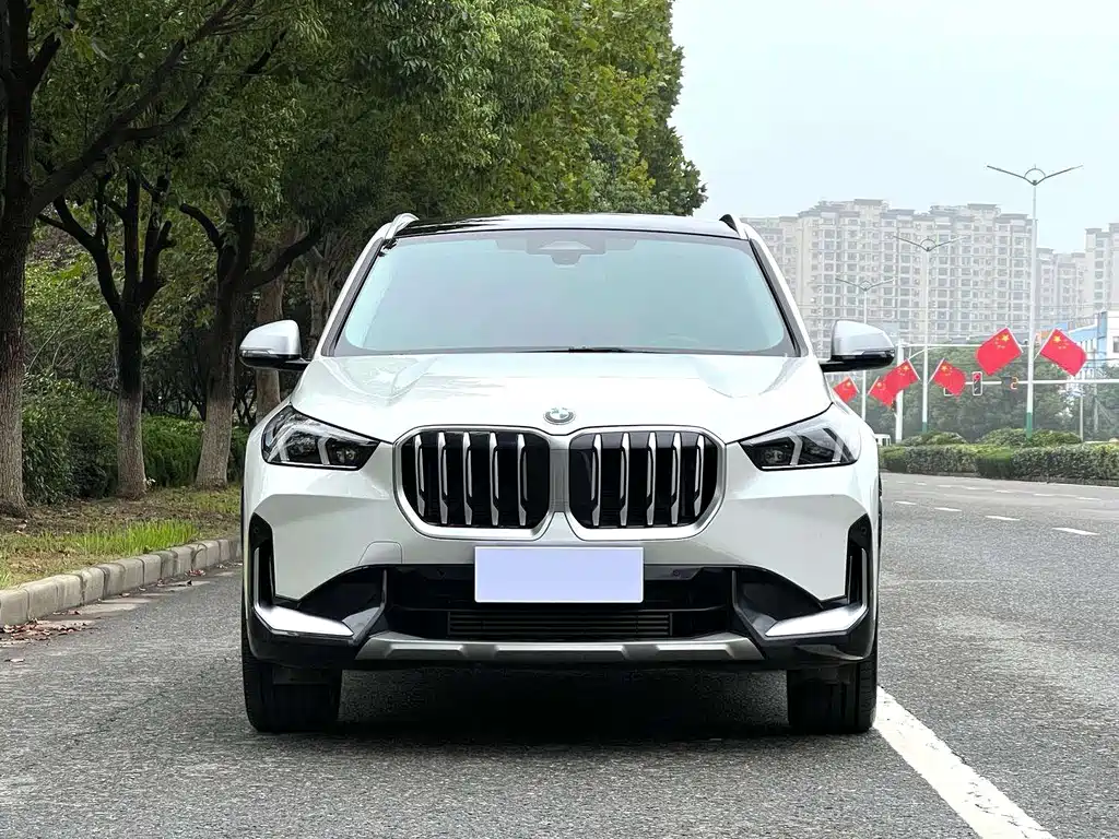 BMW X1 — миниатюра 2
