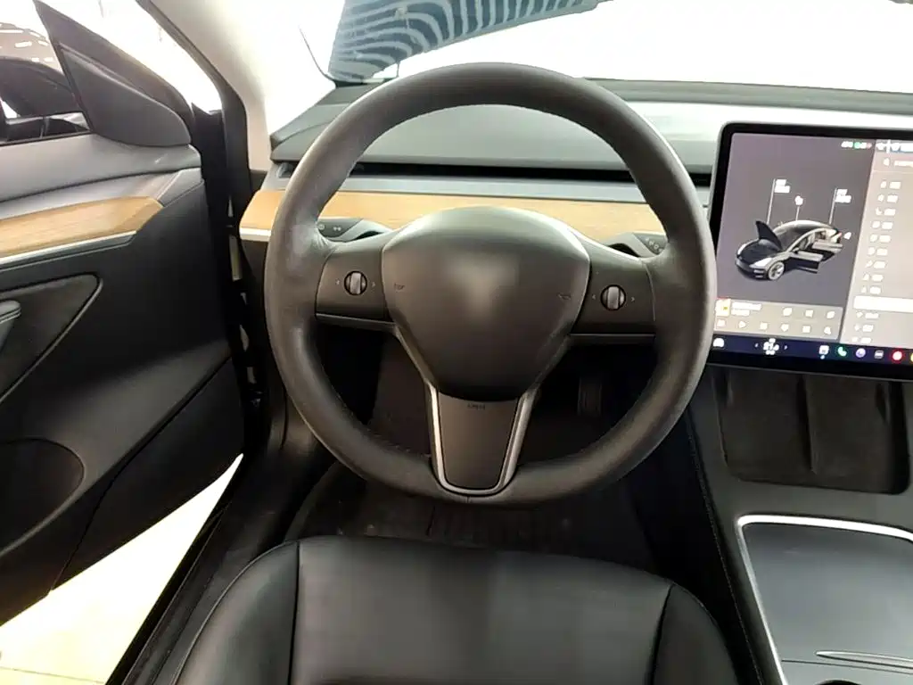 Tesla Model 3 — миниатюра 11