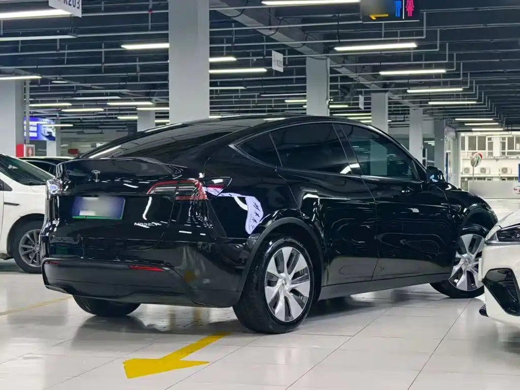 Tesla Model Y — миниатюра 7