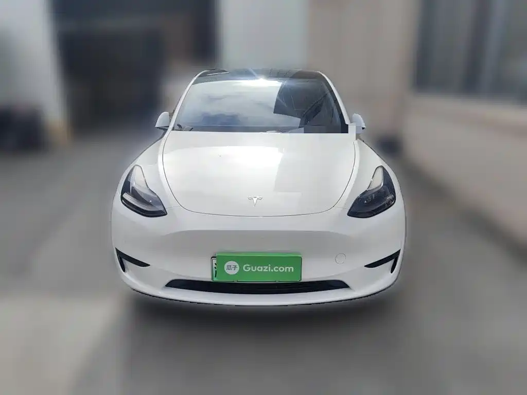 Tesla Model Y — миниатюра 2