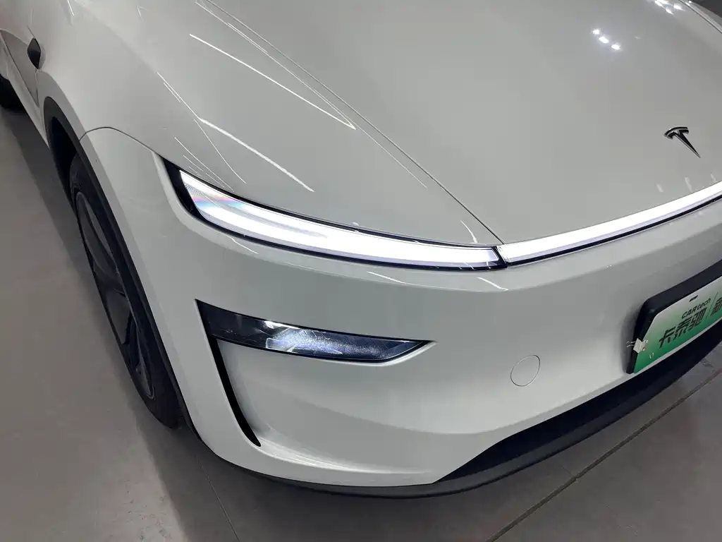 Tesla Model Y — миниатюра 29