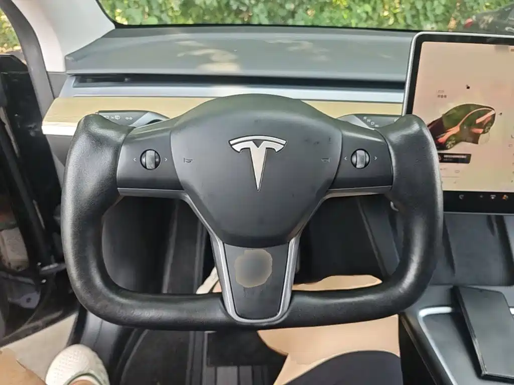Tesla Model Y — миниатюра 11