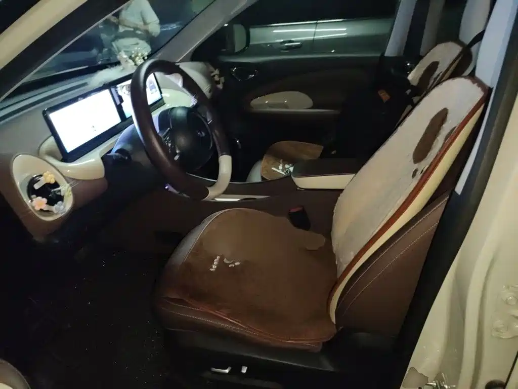 Wuling Binguo 2023 333km +