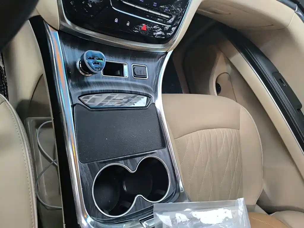 Buick GL8 — миниатюра 10