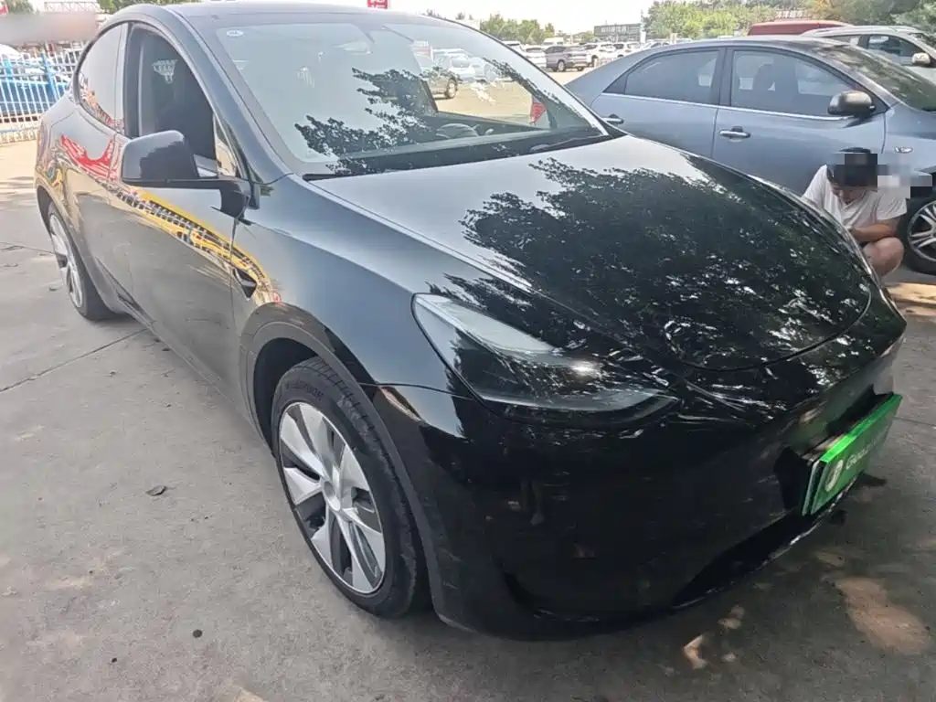 Tesla Model Y — миниатюра 4