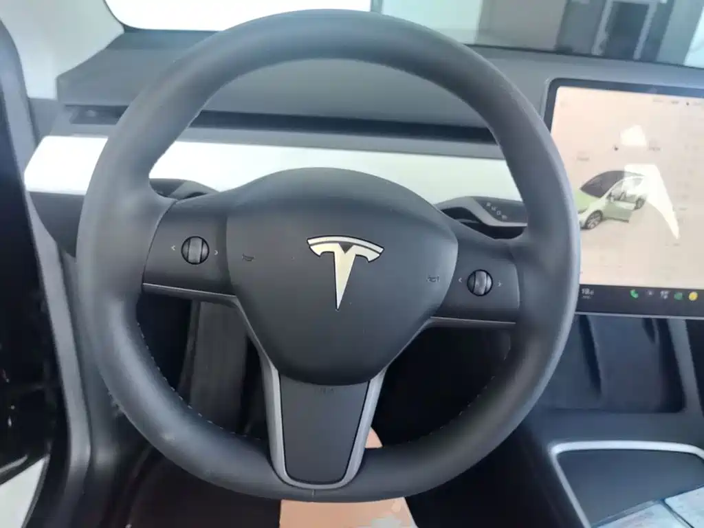 Tesla Model Y — миниатюра 11