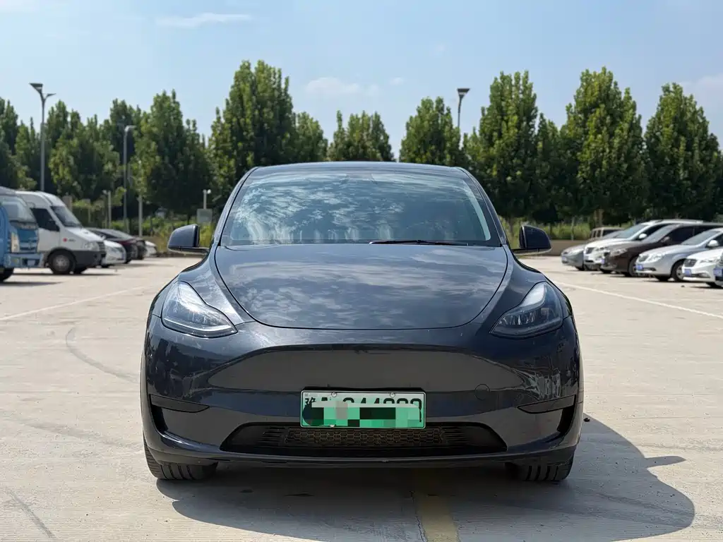 Tesla Model Y — миниатюра 2