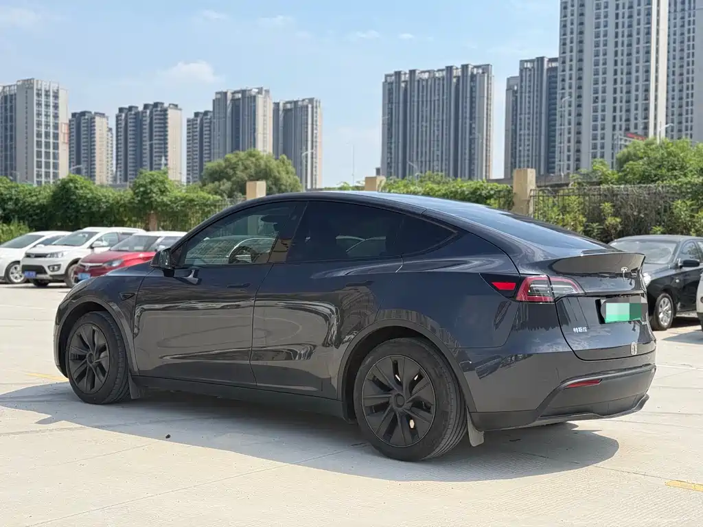 Tesla Model Y — миниатюра 4