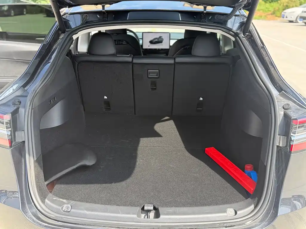 Tesla Model Y — миниатюра 36