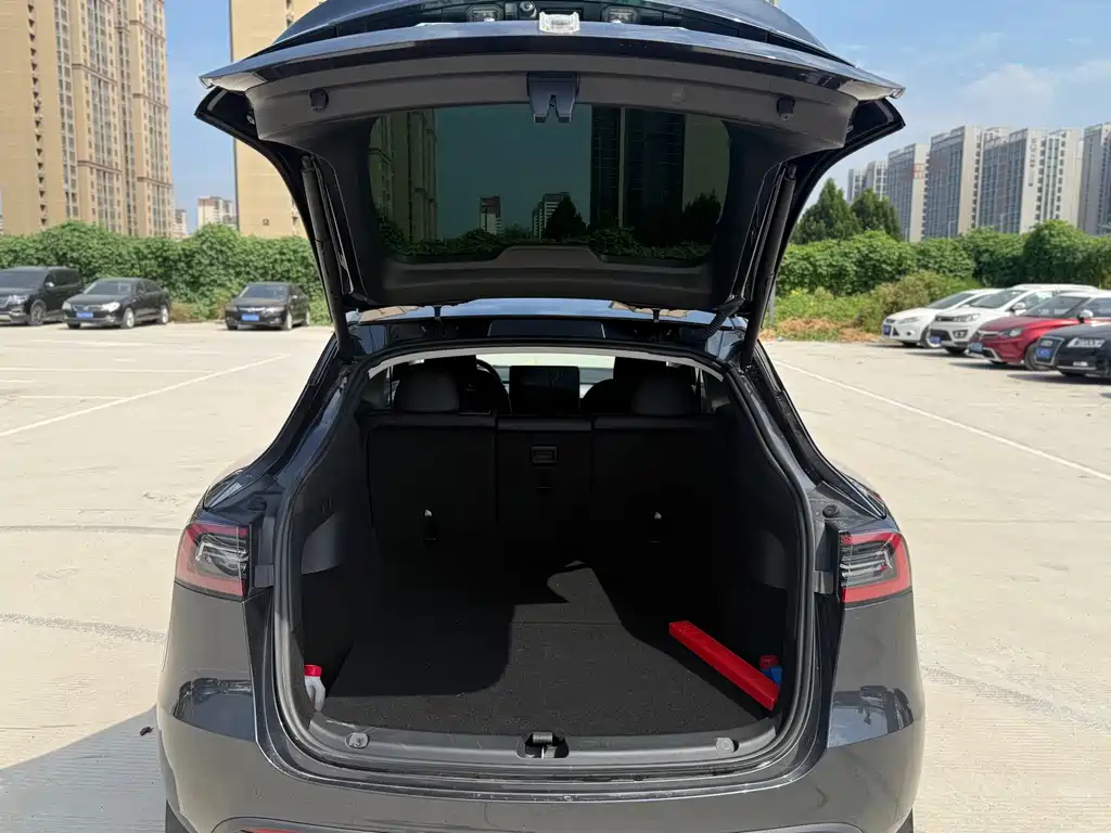 Tesla Model Y — миниатюра 37