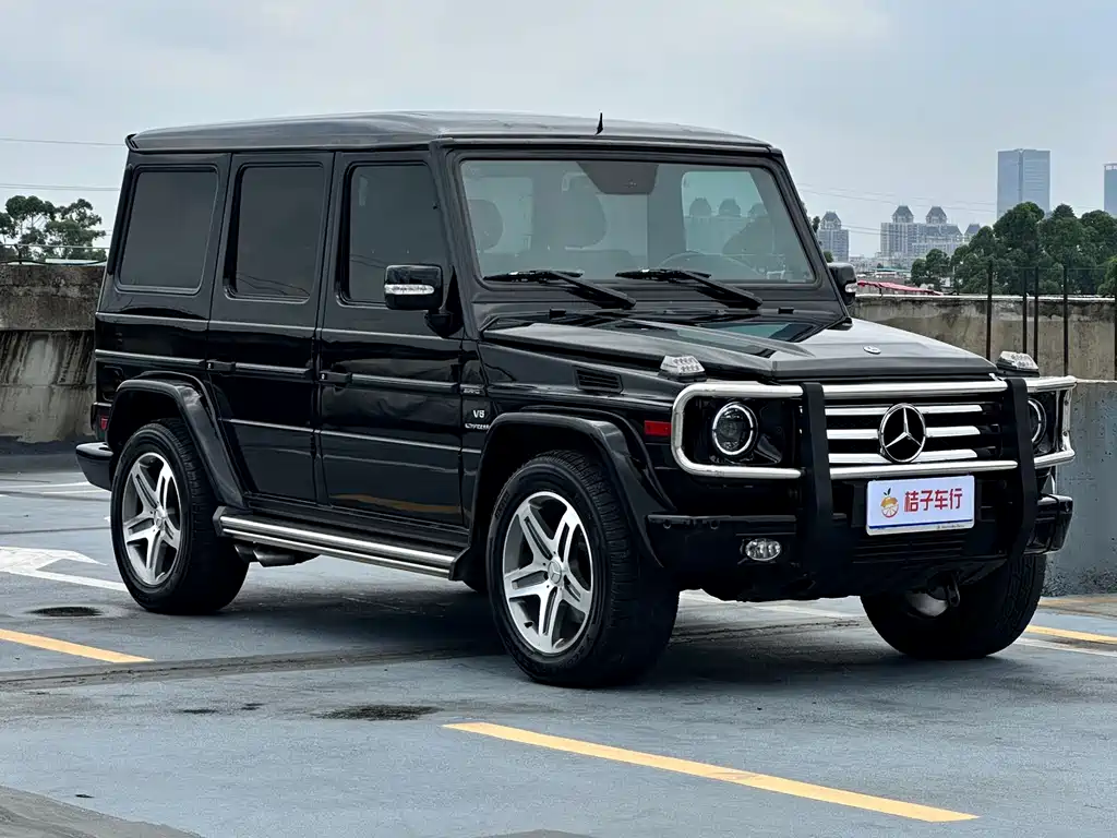 Mercedes-Benz G-Class G 2009 G 55 AMG