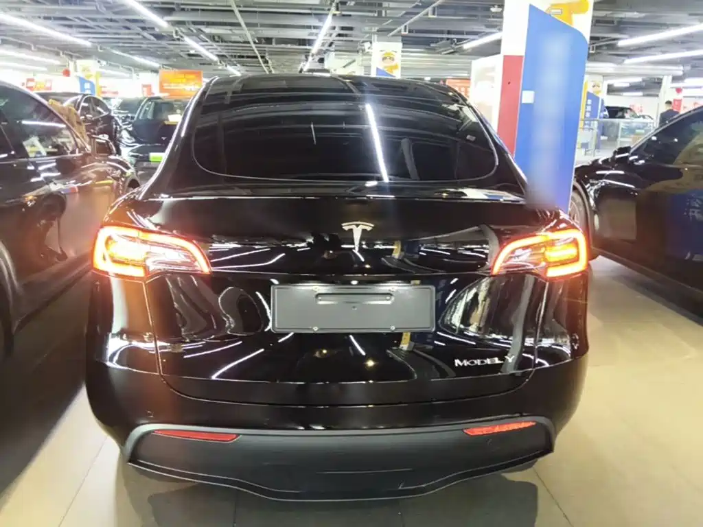 Tesla Model Y — миниатюра 6