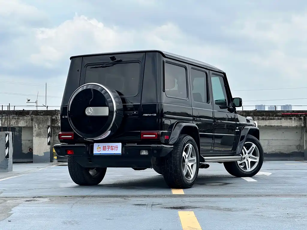 Mercedes-Benz G-Class G 2009 G 55 AMG