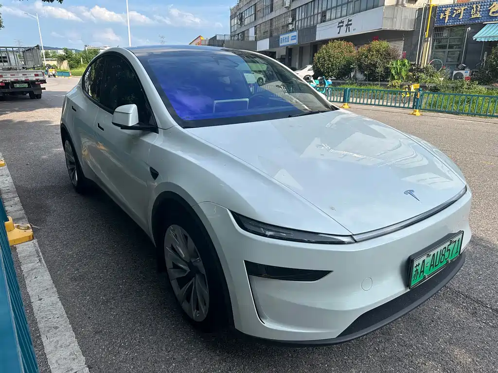 Tesla Model Y — миниатюра 2