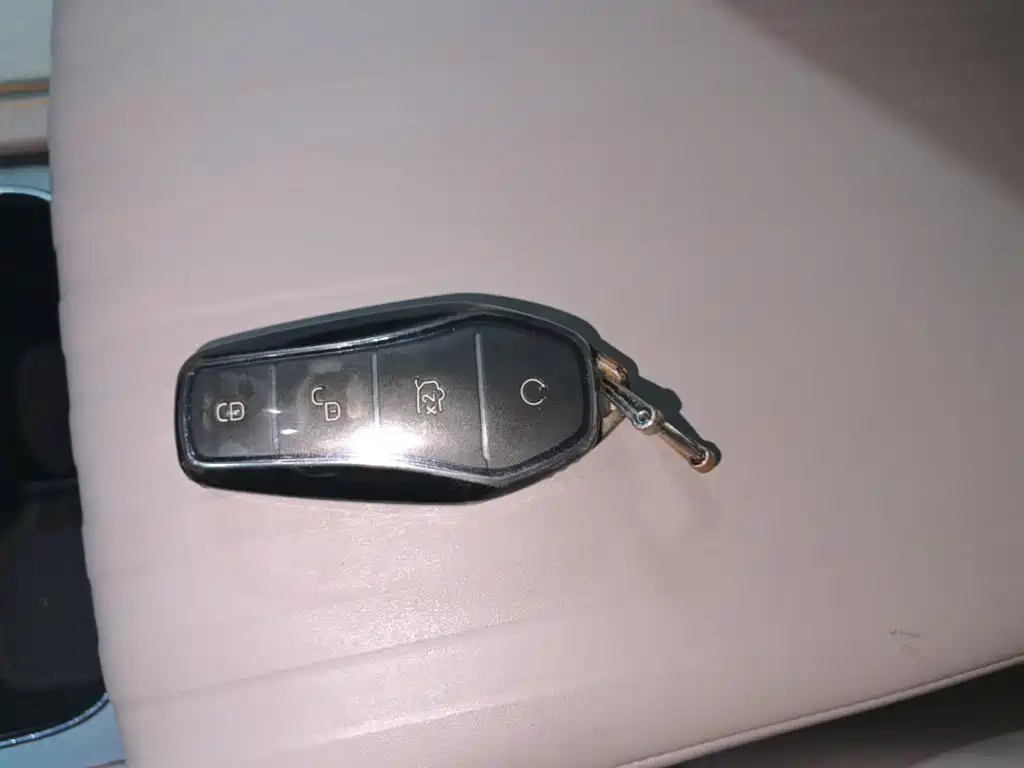 BYD Yuan Plus — миниатюра 9