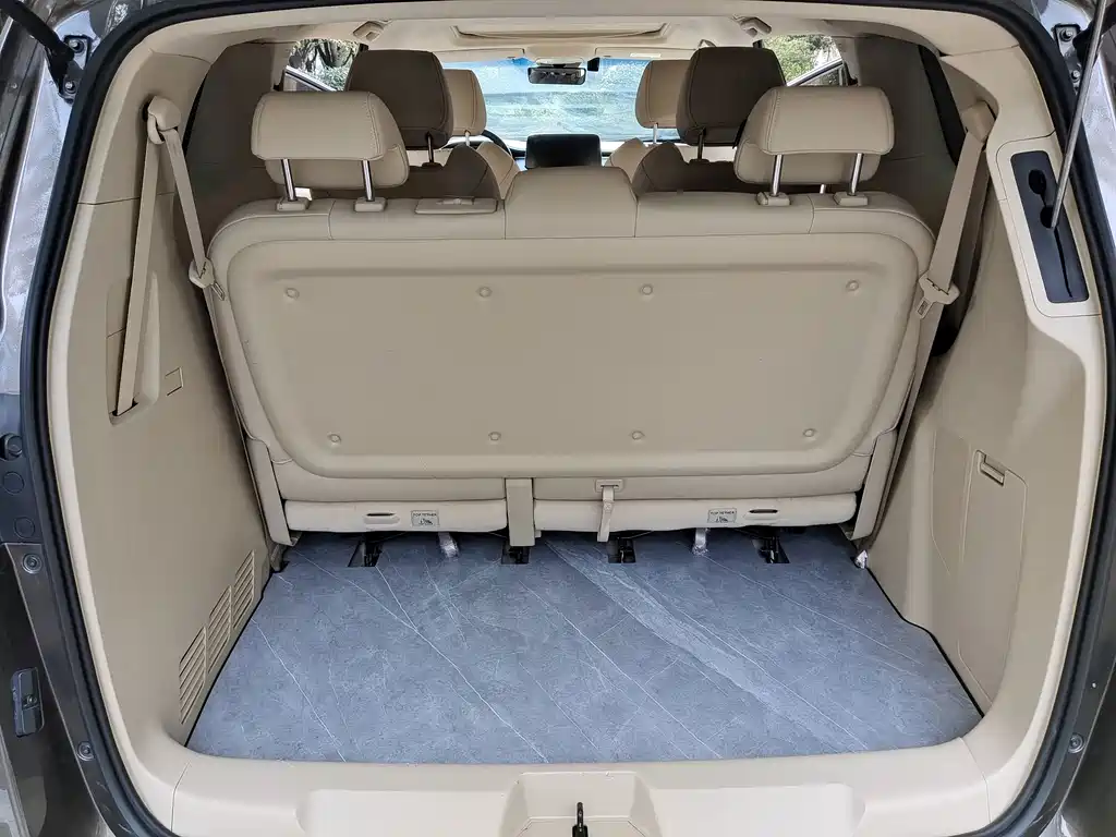Buick GL8 — миниатюра 11