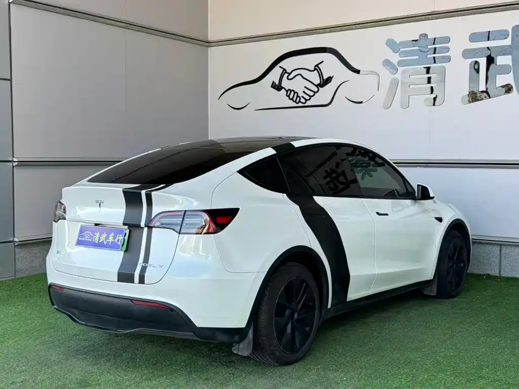 Tesla Model Y — миниатюра 10