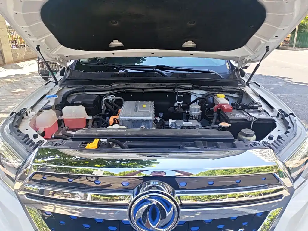 Dongfeng Rich 6 New Energy — миниатюра 14