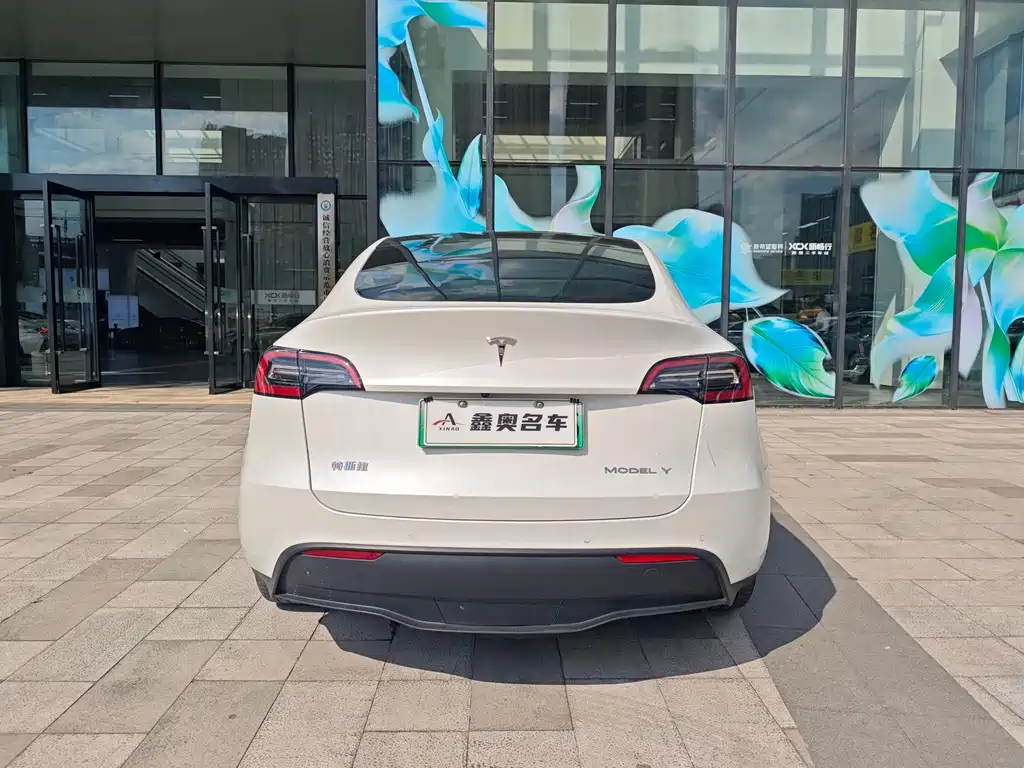 Tesla Model Y — миниатюра 5