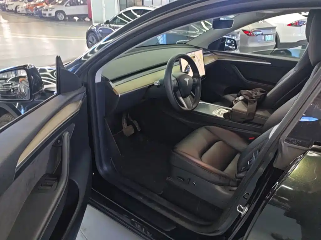 Tesla Model Y — миниатюра 16