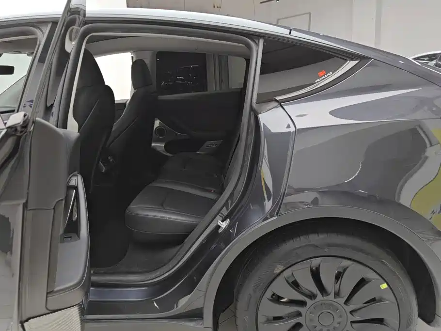 Tesla Model Y — миниатюра 11