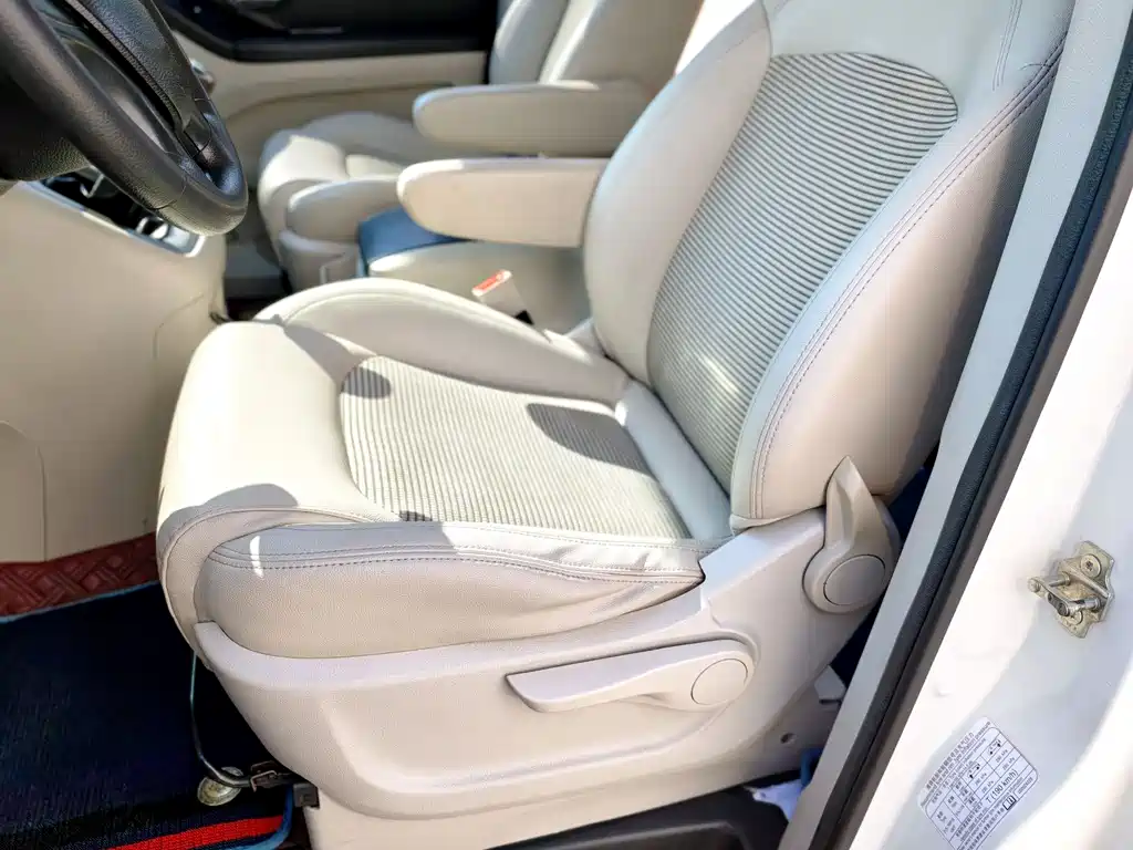 SAIC MAXUS CHASE G10