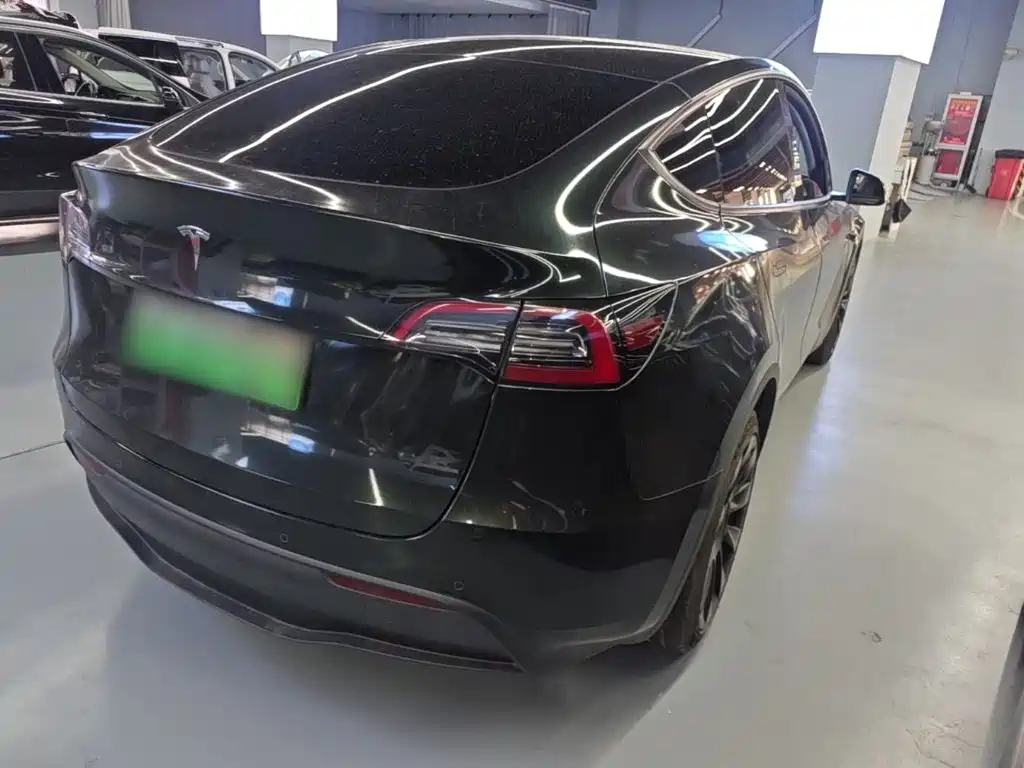 Tesla Model Y — миниатюра 7