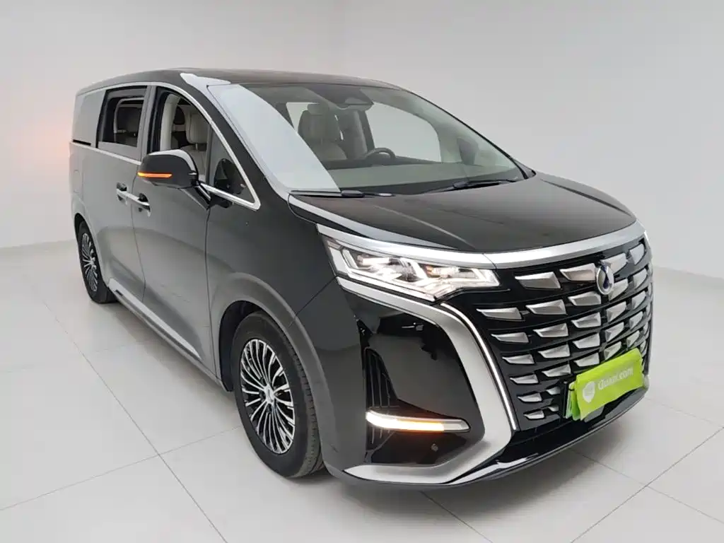 Denza Denza D9 — миниатюра 4