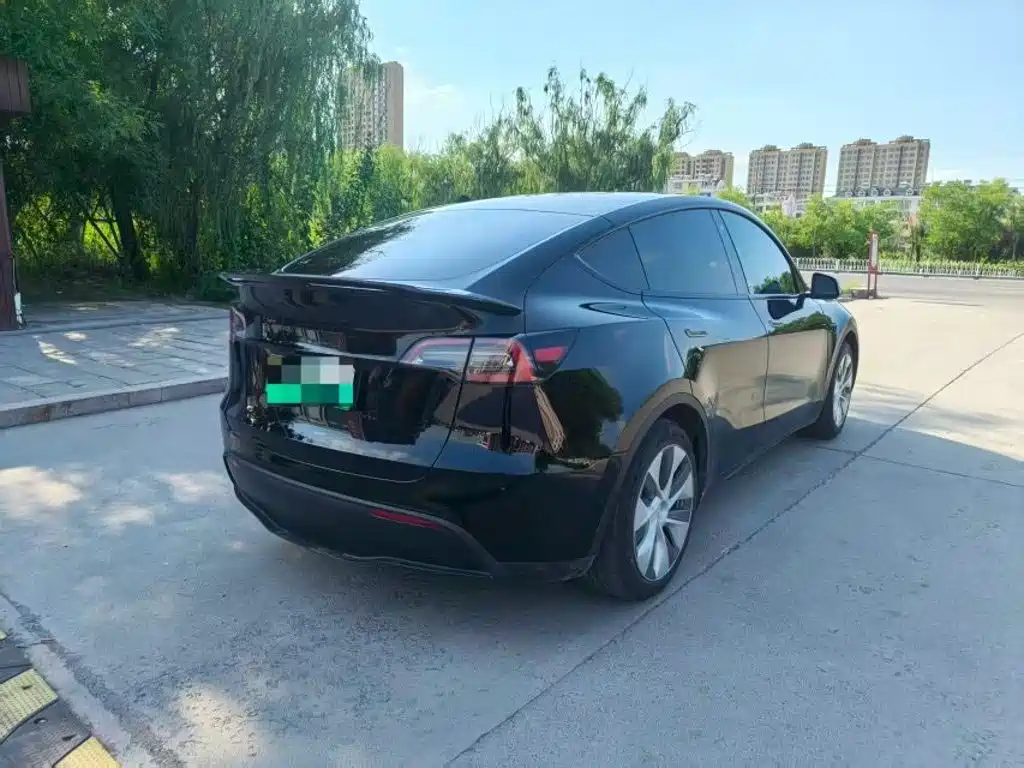 Tesla Model Y — миниатюра 4
