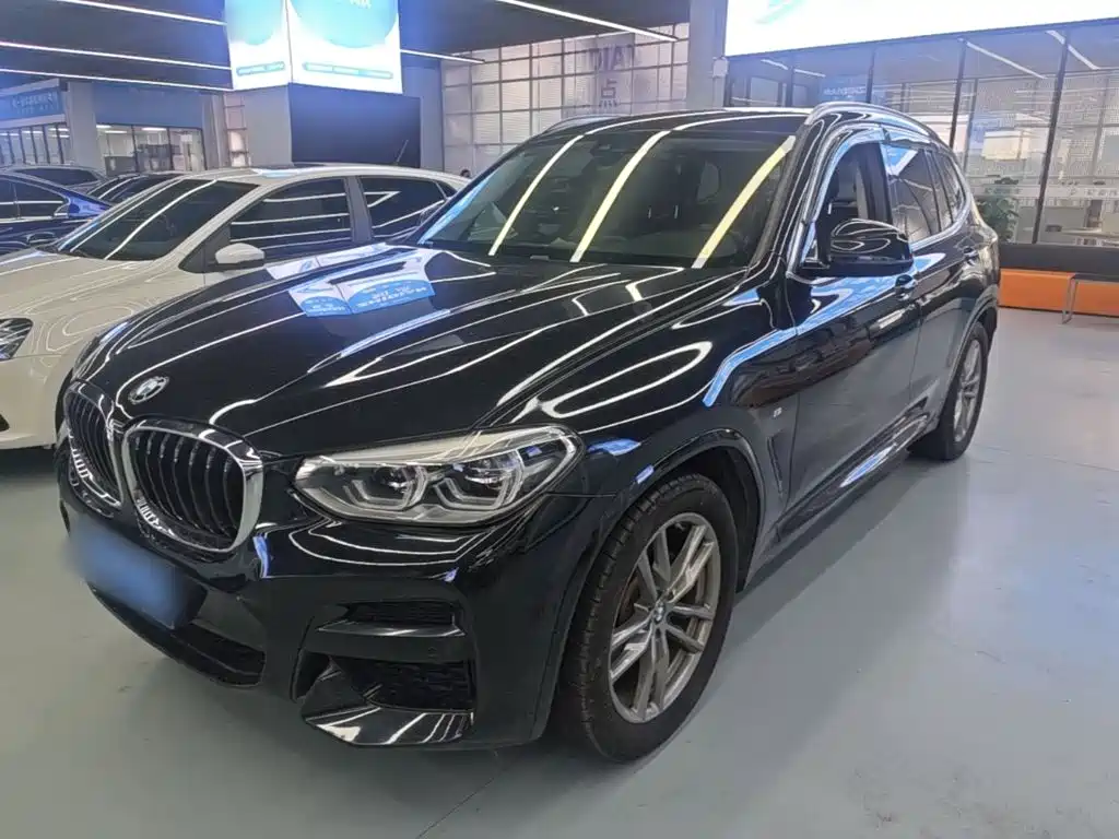 BMW X3 — миниатюра 2