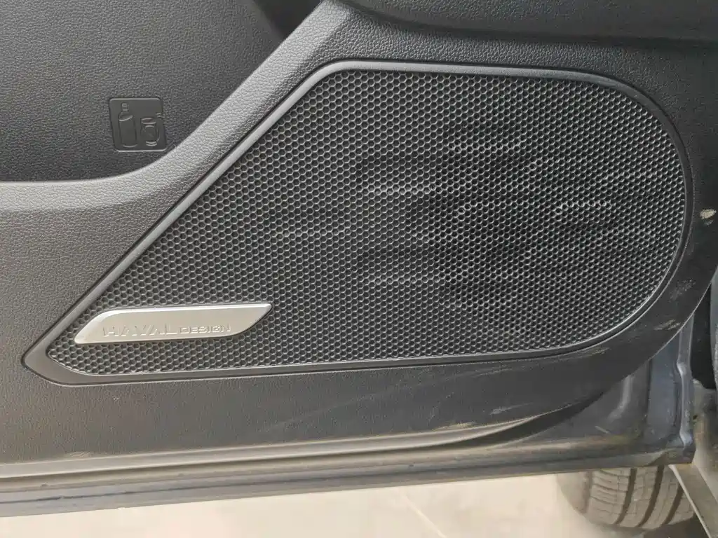 Haval Big Dog — миниатюра 14