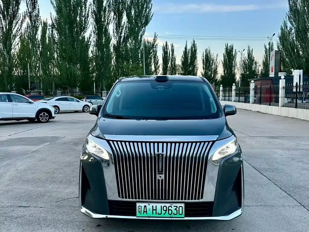 Wey Wey Gaoshan New Energy — миниатюра 3