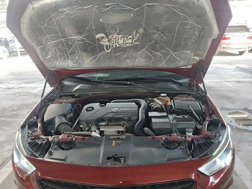 Buick Regal — миниатюра 20