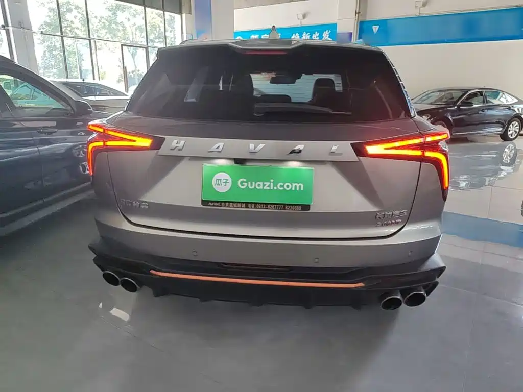 Haval Shenshou — миниатюра 6