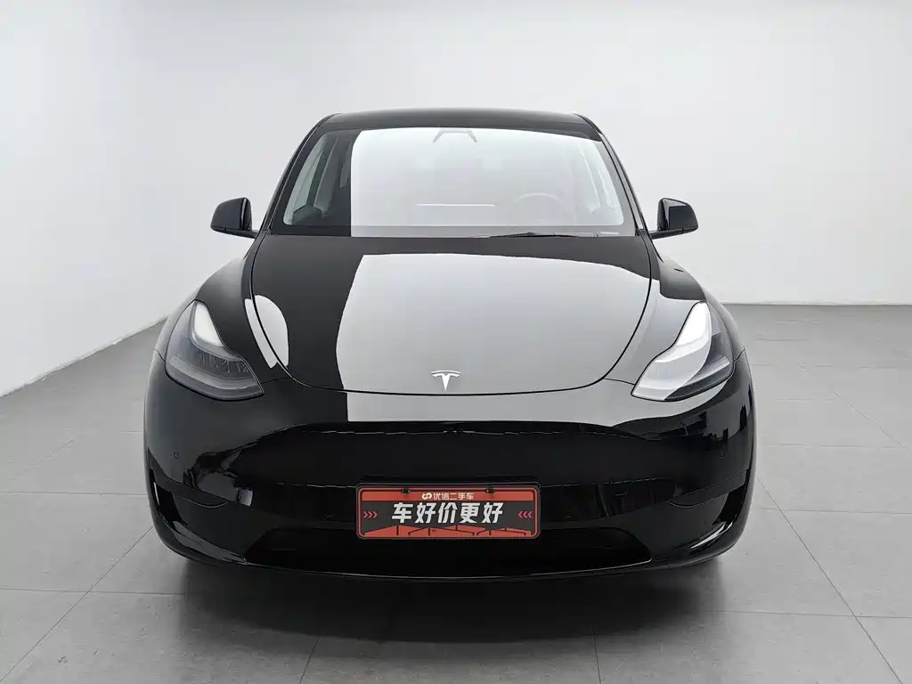 Tesla Model Y — миниатюра 3