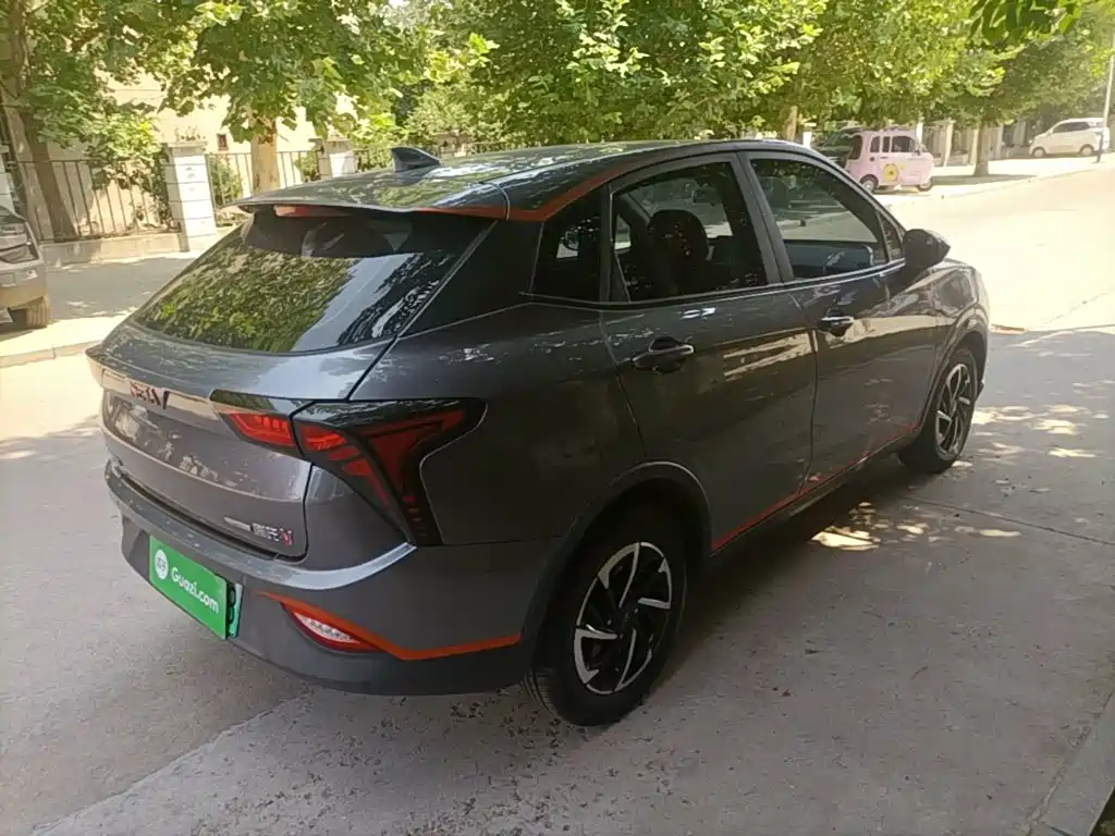 Neta Neta V — миниатюра 7