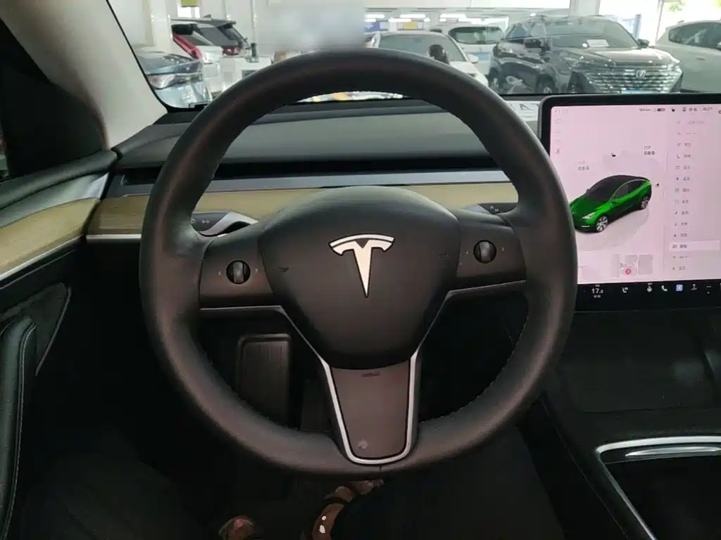 Tesla Model Y — миниатюра 11