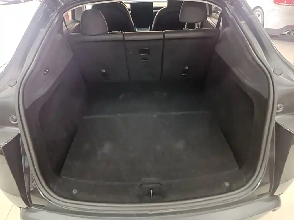 Tesla Model Y — миниатюра 19