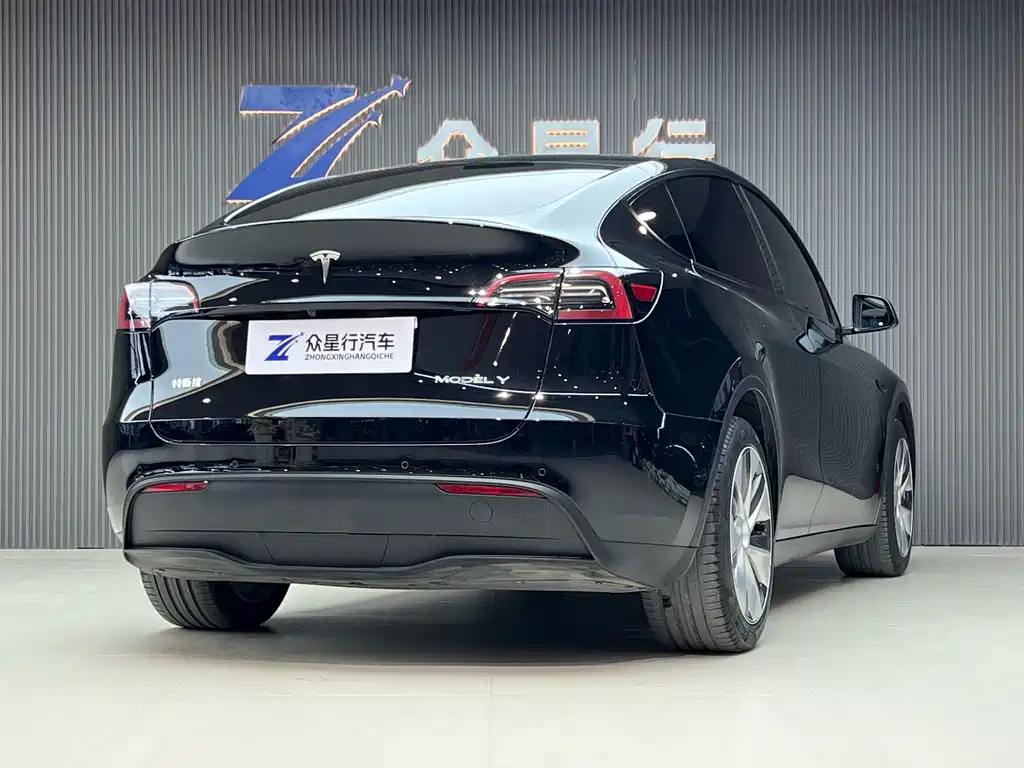 Tesla Model Y — миниатюра 4