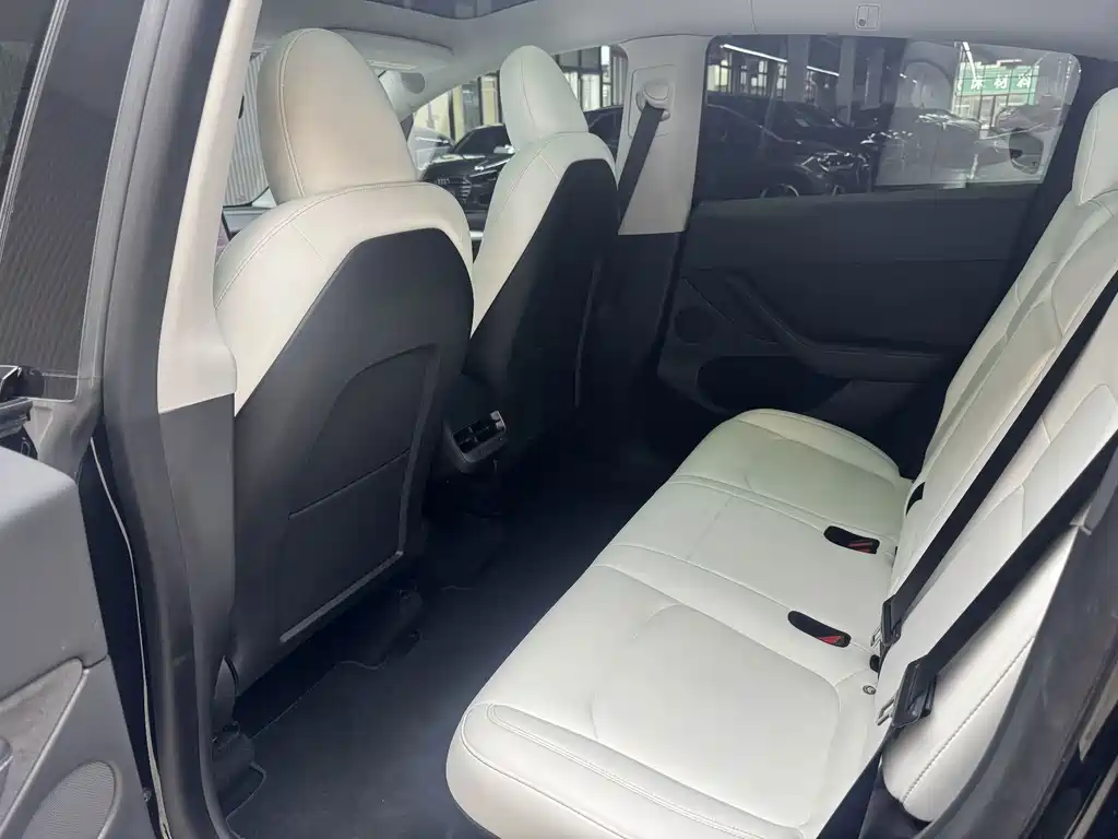 Tesla Model Y — миниатюра 15