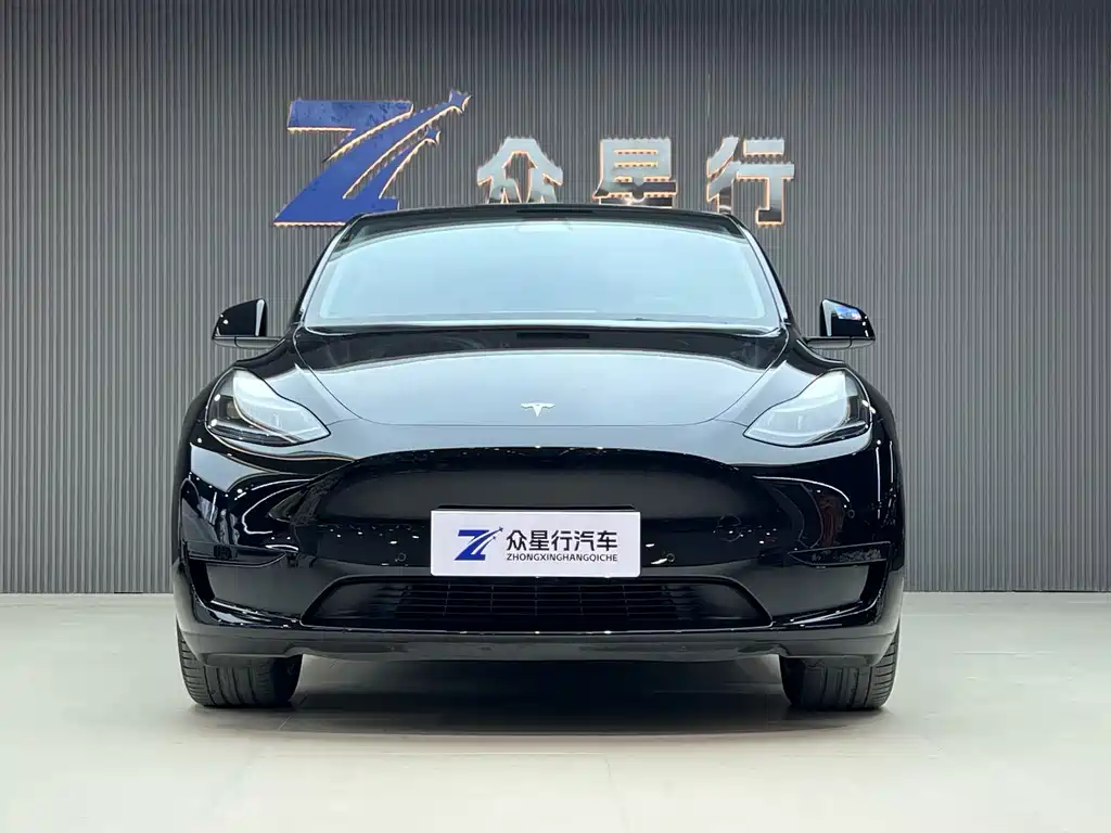 Tesla Model Y — миниатюра 2