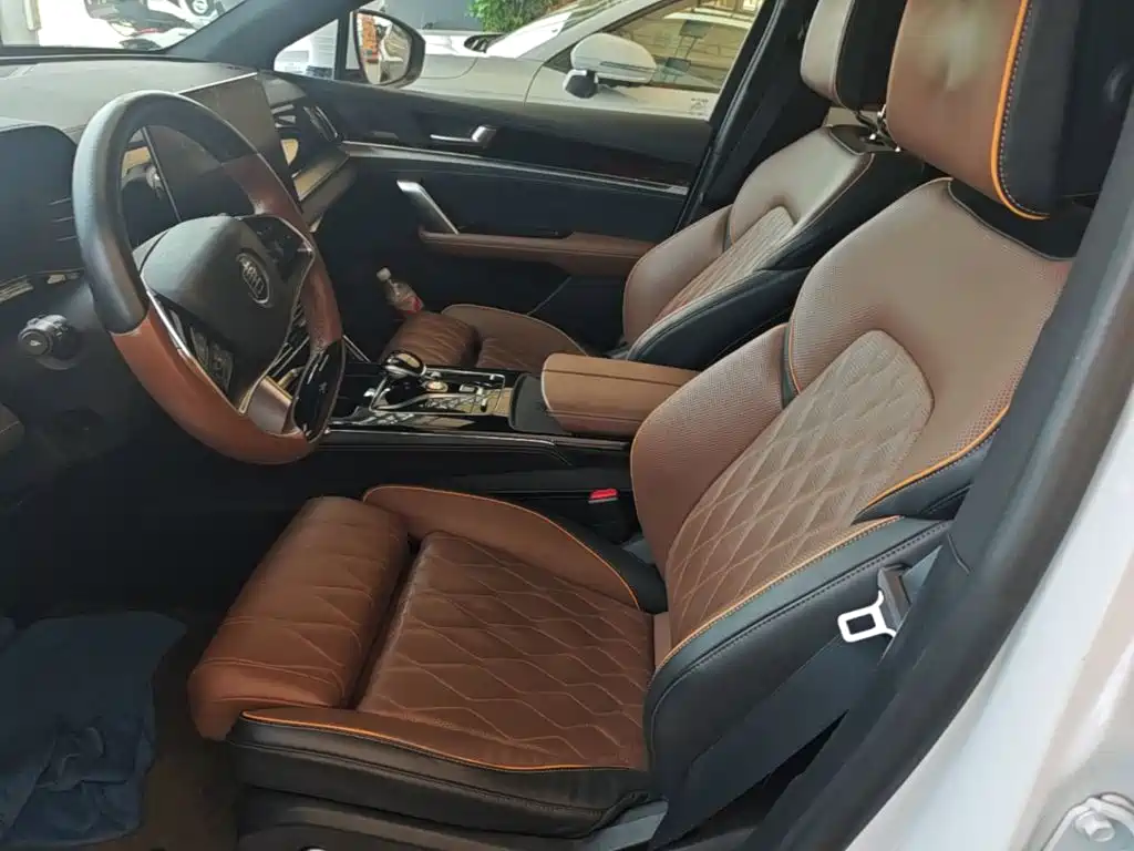 BYD Tang New Energy — миниатюра 15