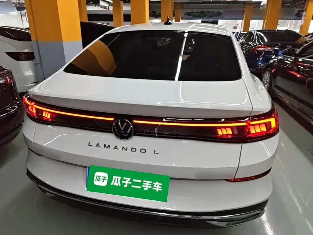 Volkswagen Lamando — миниатюра 6