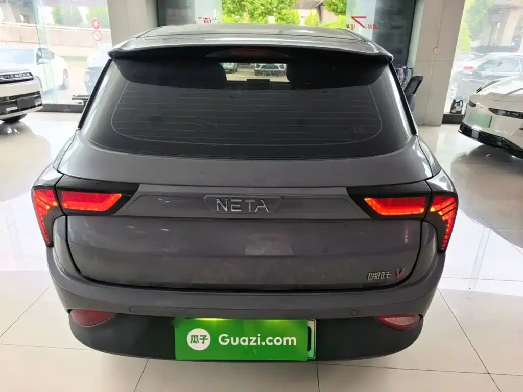 Neta Neta V — миниатюра 6
