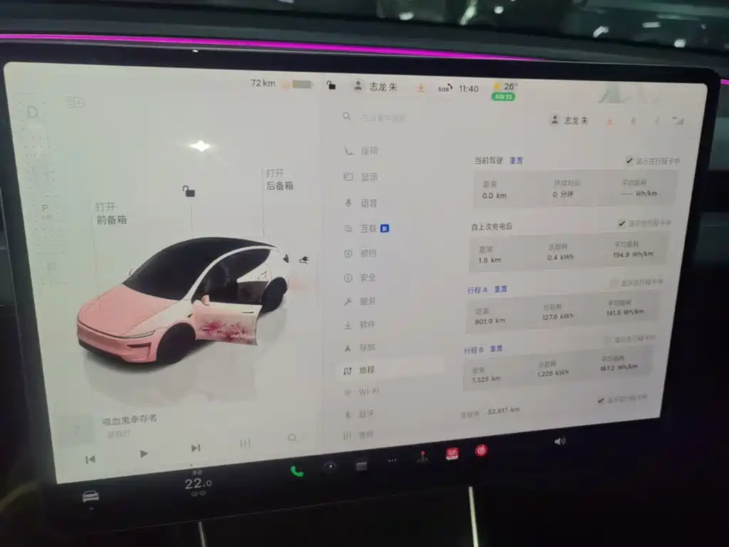Tesla Model Y — миниатюра 12